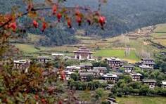 Bhutan Birding Tours A Hidden Paradise for Nature Lovers